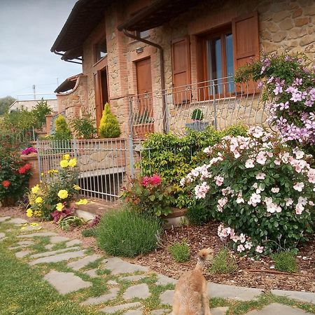 Olivo Bonsai Hotel Passignano sul Trasimeno Exterior photo