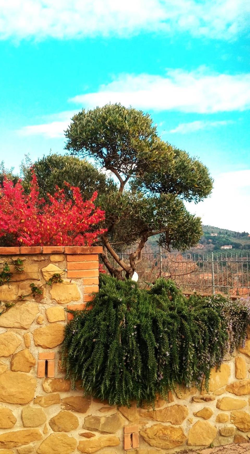Olivo Bonsai Hotel Passignano sul Trasimeno Exterior photo