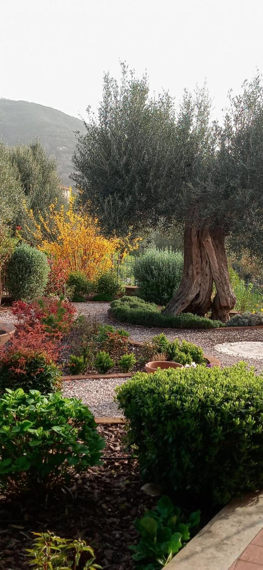 Olivo Bonsai Hotel Passignano sul Trasimeno Exterior photo
