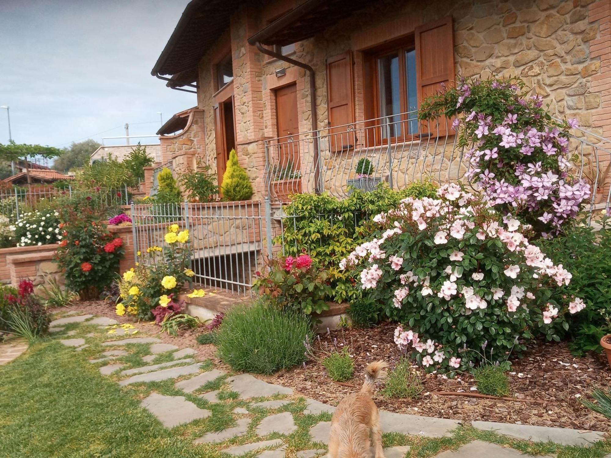 Olivo Bonsai Hotel Passignano sul Trasimeno Exterior photo
